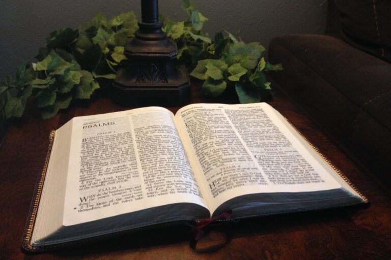 bible-open